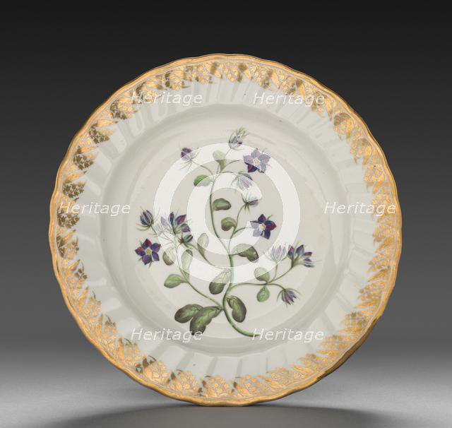 Plate from Dessert Service: Venus Looking Glass, c. 1800. Creator: Derby (Crown Derby Period) (British).