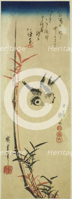 Sparrow and bamboo, mid-1830s. Creator: Ando Hiroshige.
