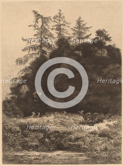 Daims dans un Parc. Creator: Karl Bodmer.