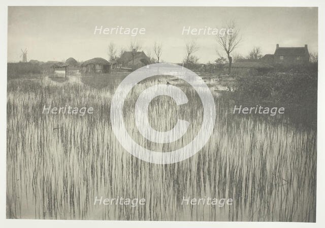 A Rushy Shore, 1886. Creator: Peter Henry Emerson.