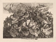 Foliage Study with Reed and Hops, 1826/1828. Creator: Carl Wilhelm Kolbe the elder.