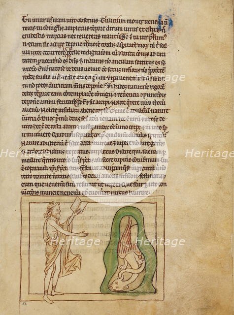 An Asp; Northumberland Bestiary, about 1250-1260. Creator: Unknown.
