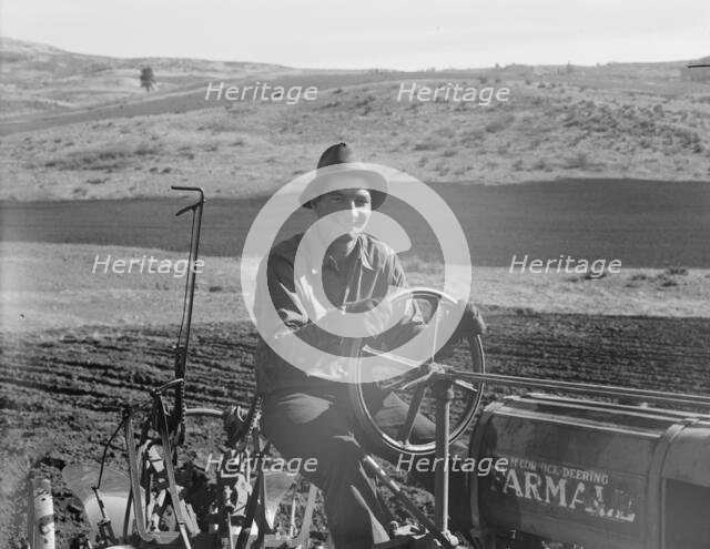 Young farmer, member of Ola self-help sawmill co-op, plowing..., Gem County, Idaho, 1939. Creator: Dorothea Lange.