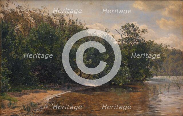 Elm trees at Almind Lake, 1873. Creator: Janus Andreas Bartholin la Cour.
