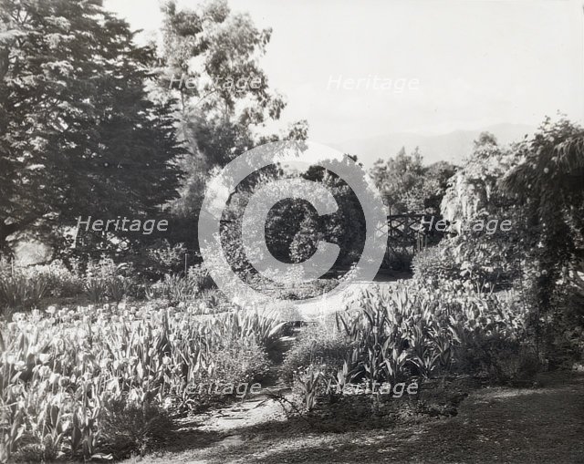 "Glen Oaks," James Hobart Moore house, East Valley Road, Montecito, California, 1917. Creator: Frances Benjamin Johnston.