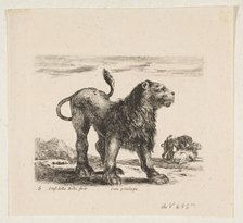 Plate 6: lion, from 'Various animals' (Diversi animali), ca. 1641. Creator: Stefano della Bella.