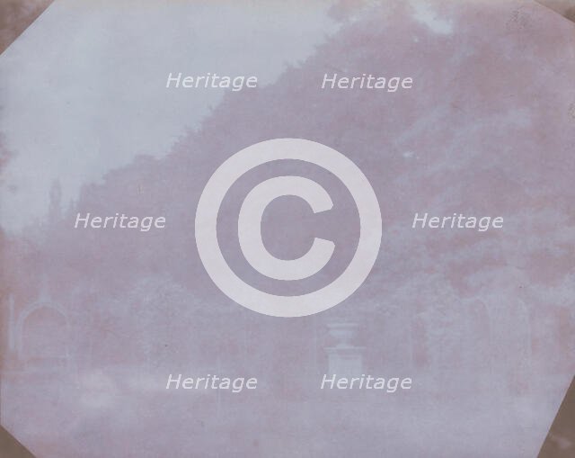 Mio Giardino, 1840. Creator: William Henry Fox Talbot.