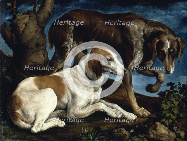 Two hunting dogs, 1548-1549. Creator: Bassano, Jacopo, il vecchio (ca. 1510-1592).