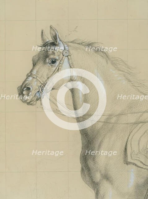 Horse study for "Archduke Karl with his staff in the Battle of Aspern", before 1828. Creator: Johann Peter Krafft.