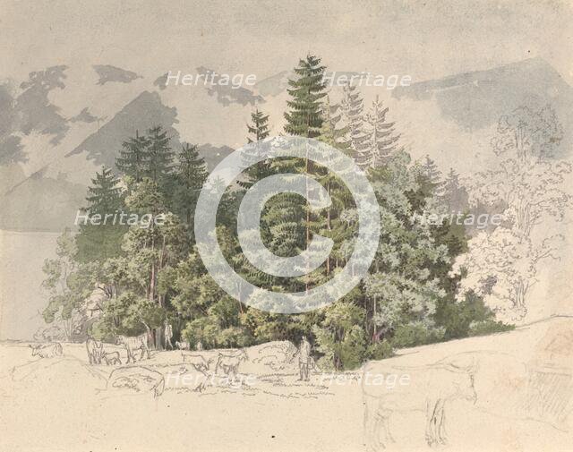 Alpine Landscape. Creator: Friedrich Salathe.