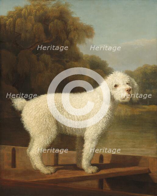 White Poodle in a Punt, c. 1780. Creator: George Stubbs.
