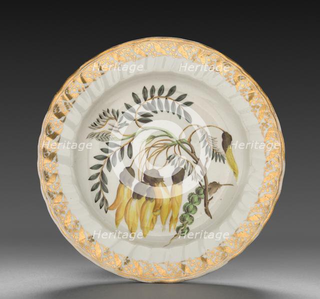 Plate from Dessert Service: Winged Podded Sophora, c. 1800. Creator: Derby (Crown Derby Period) (British).