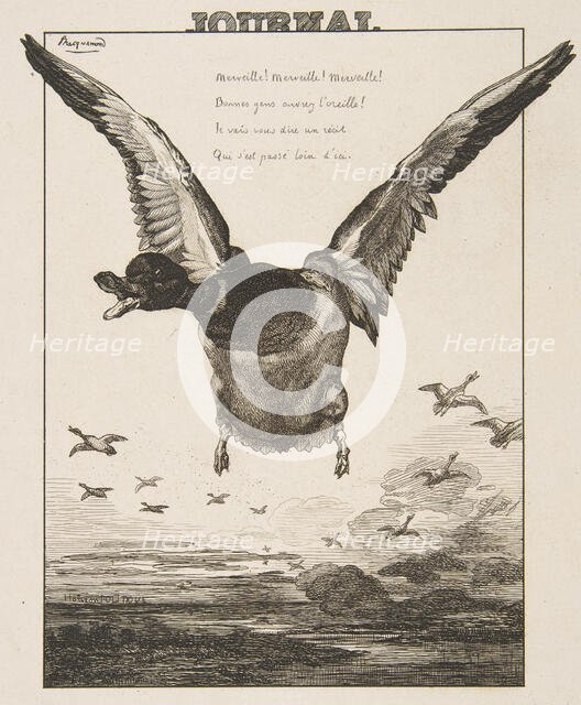 Le Canard, 1856. Creator: Felix Bracquemond.