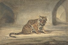 Tiger, 1810-75. Creator: Antoine-Louis Barye.