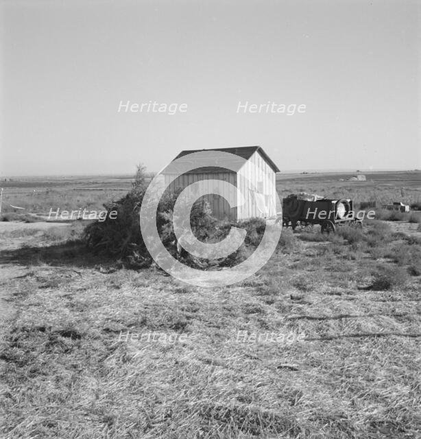 The preacher's house, Dead Ox Flat, Malheur County, Oregon, 1939. Creator: Dorothea Lange.