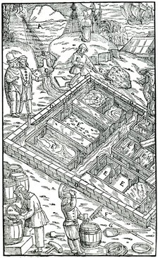 Producing salt by evaporating sea water in salt pans, 1556. Artist: Unknown