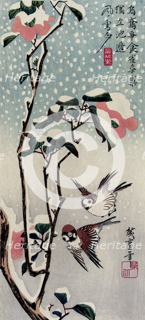 Sparrows and Camellias in the Snow, 1830s.  Creator: Hiroshige, Utagawa (1797-1858).