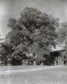 Midlothian Pike Minor Houses, Midlothian Pike, Chesterfield County, Virginia, 1933. Creator: Frances Benjamin Johnston.