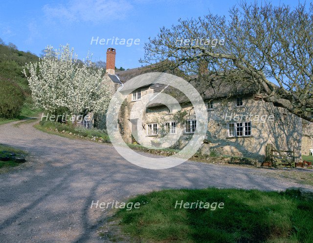 'Great Seaside' house, Branscombe, Devon.