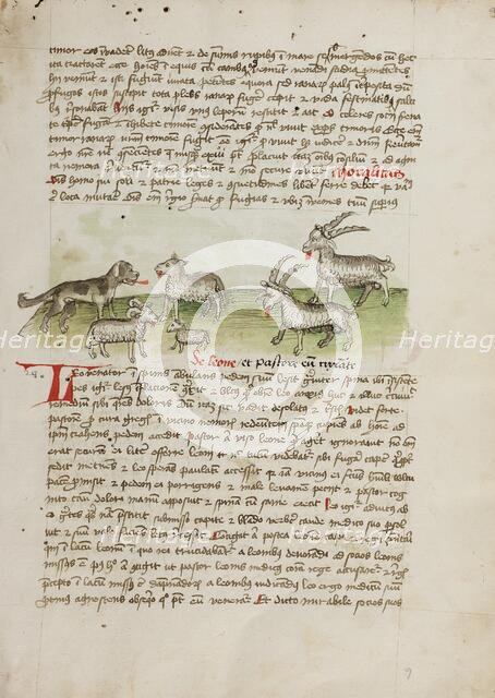 A Dog, Sheep, and Rams; Fables, third quarter of 15th century. Creator: Unknown.