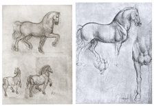 'Horses', c1490-1510. Artist: Leonardo da Vinci
