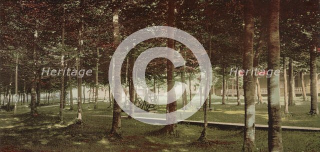 The Grove at Bay View, Michigan, c1901. Creator: Unknown.