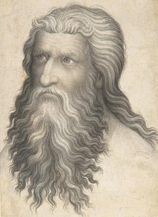 Head of a Bearded Man, 1360-80. Creator: Anon.