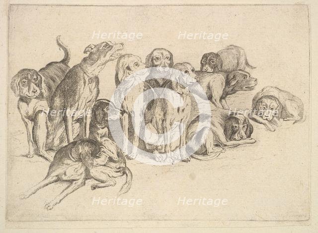 Eleven Hounds, 1625-77. Creator: Wenceslaus Hollar.
