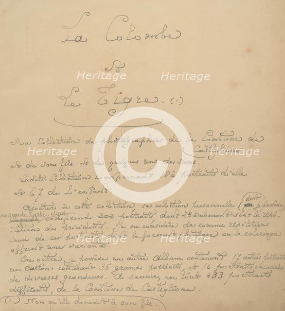 La Colombe et Le Tigre. Ma collection de photographies de la Comtesse de Castiglione, 1860s. Creator: Pierre-Louis Pierson.