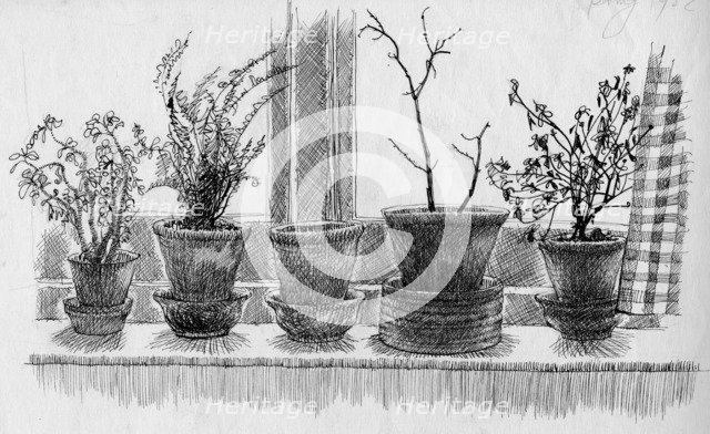 Dead plants on a windowsill, 1952. Creator: Shirley Markham.