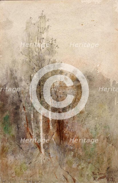 A Tree Study, 1879. Creator: Ross Turner.