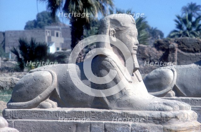 A sphinx from the avenue of Sphinxes, Temple sacred to Amun Mut & Khons, Luxor, Egypt, c370 BC. Artist: Unknown