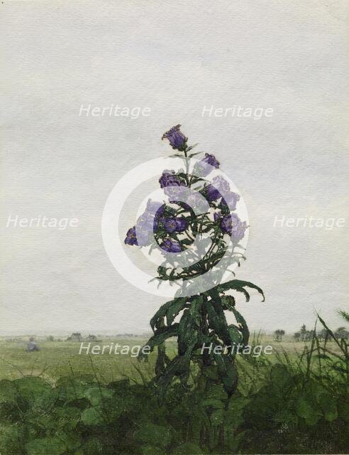 Campanula in front of a Landscape, 1863. Creator: Leon Bonvin.