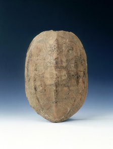 Petrified tortoise shell with oracle bone inscriptions, possibly Shang Dynasty, China, c1400 BC. Artist: Unknown