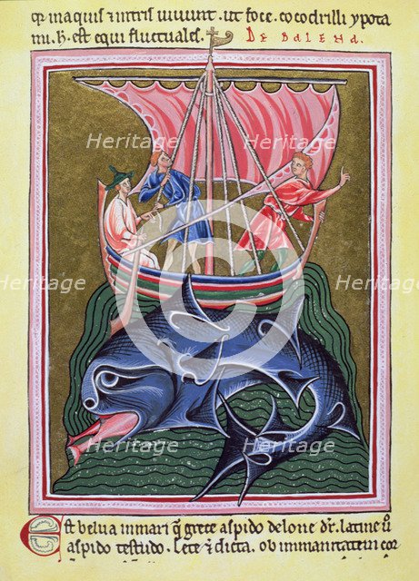The whale, a miniature in an English Bestiary.