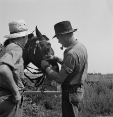 Hired man helps the farmers' oldest boy on the Myers farm, Washington, Yakima County, 1939. Creator: Dorothea Lange.