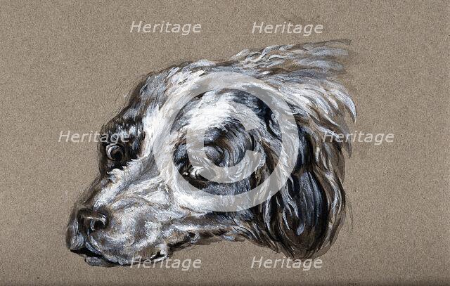 A head of a dog. Creator: Unknown.