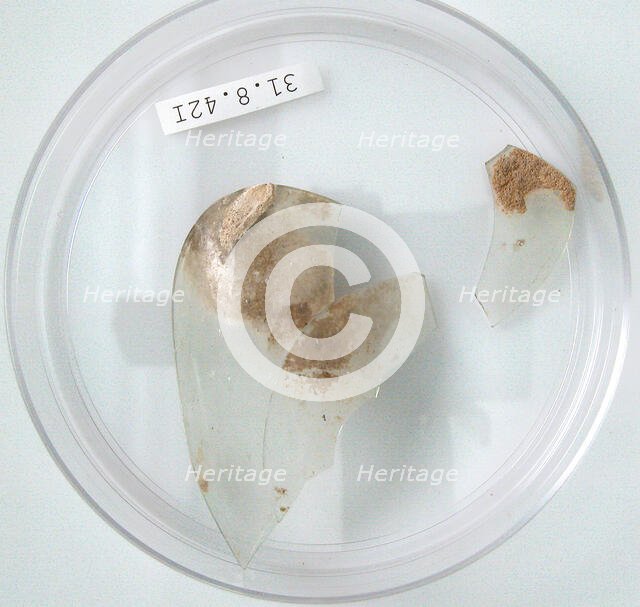 Glass Fragments, Coptic, 4th century. Creator: Unknown.