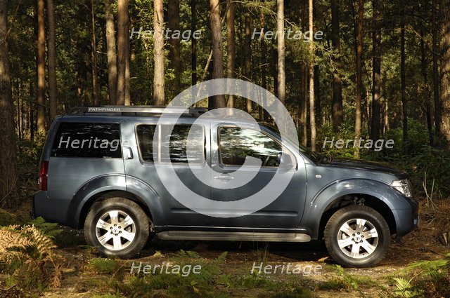 2005 Nissan Pathfinder 2.5 Tspec dci Artist: Unknown.