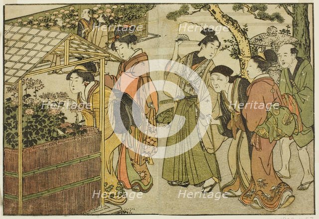 Display of Chrysanthemums, from the illustrated book "Picture Book: Flowers of..., New Year, 1801. Creator: Kitagawa Utamaro.
