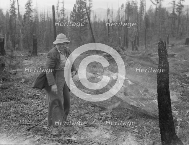 Family work clearing land by burning, near Bonners Ferry, Boundary County, Idaho, 1939. Creator: Dorothea Lange.