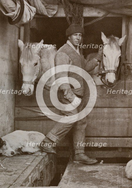 'Captain Oates and Ponies on the 'Terra Nova'', c1910-1912, (1913). Creator: Herbert Ponting.