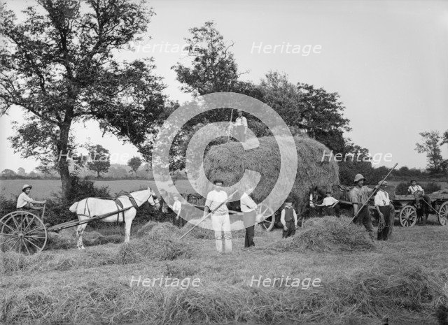 Haymaking near Byfield, Northamptonshire, 1908. Artist: A Newton