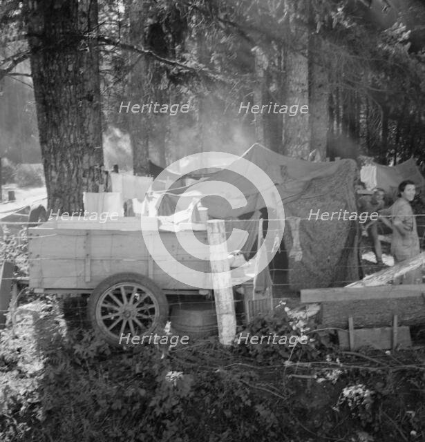 Possibly: Large private auto camp in woods..., near West Stayton, Marion County, Oregon, 1939. Creator: Dorothea Lange.