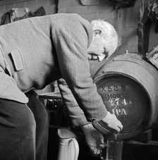 An elderly Gloucestershire man pouring a pint of beer, c1946-c1949. Artist: John Gay