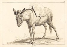 Mulet (Mule or Saddled Donkey). Creator: Jacques Philippe Le Bas.