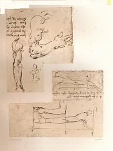 Two drawings illustrating the theory of the proportions of the human figure, c1472-c1519 (1883). Artist: Leonardo da Vinci.