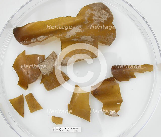 Glass Fragments, Coptic, 4th century. Creator: Unknown.