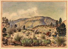 Women Gathering Yucca Plants, 20th century. Creator: Unknown.