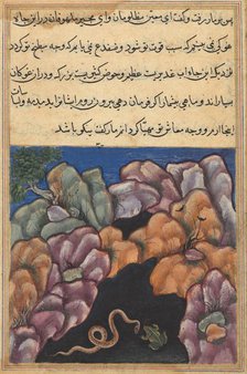 Page from Tales of a Parrot (Tuti-nama): Twenty-sixth night: The snake enters..., c. 1560. Creator: Unknown.